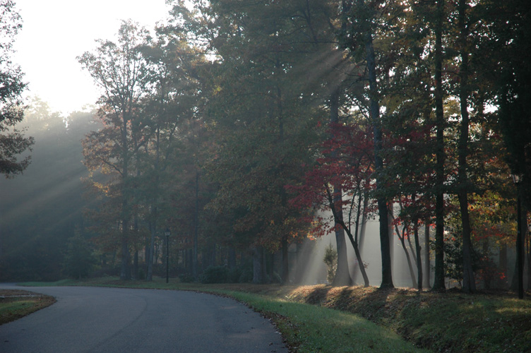 Mineral Springs Plantation Fall Tour by Pamela Ulans