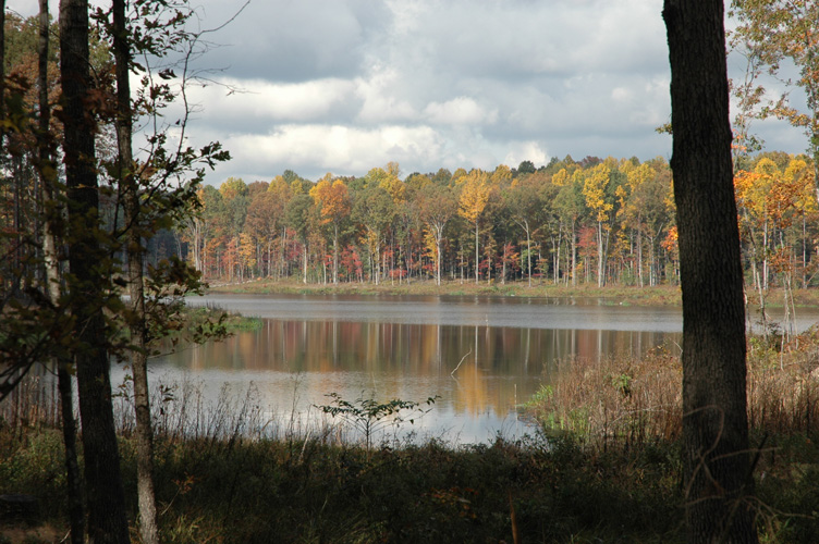 Mineral Springs Plantation Fall Tour by Pamela Ulans