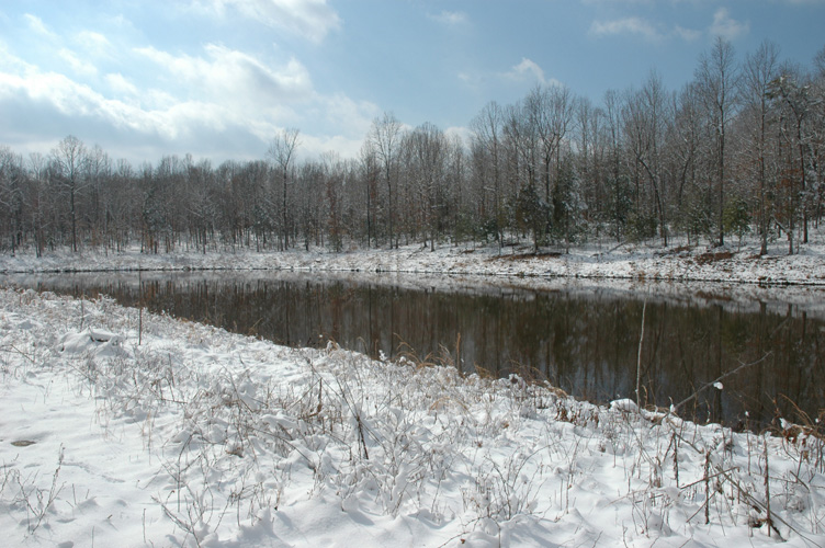 Mineral Springs Plantation Winter Tour by Pamela Ulans