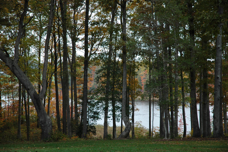 Mineral Springs Plantation Fall Tour by Pamela Ulans