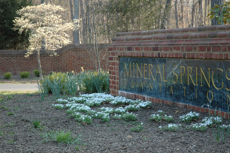 Mineral Springs Plantation Spring Tour by Pamela Ulans