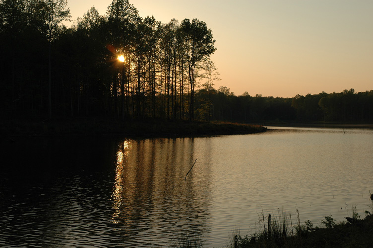 Mineral Springs Plantation Spring Tour by Pamela Ulans
