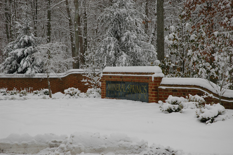 Mineral Springs Plantation Winter Tour by Pamela Ulans